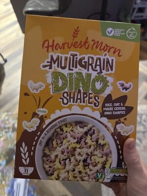 Multigrain Dino shape